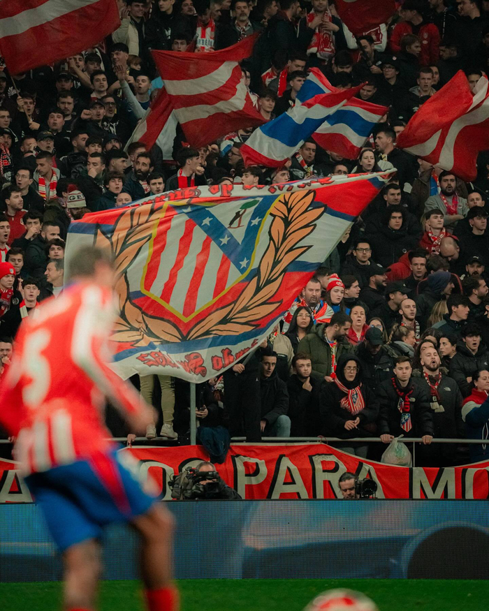 电讯报：切尔西为帕尔默定制特殊战靴，保护受伤脚趾助其康复（电讯报：切尔西为帕尔默打造专属护趾战靴，助其脚趾伤势康复）